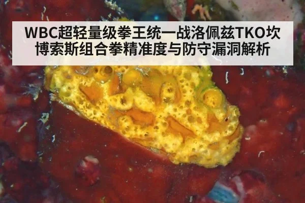 WBC超轻量级拳王统一战洛佩兹TKO坎博索斯组合拳精准度与防守漏洞解析
