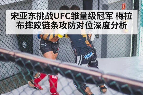 MMA wrestling training cage