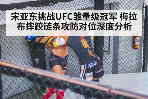 MMA fighters grappling octagon