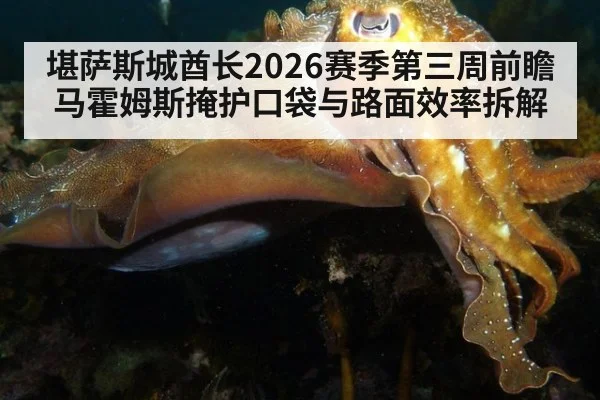 堪萨斯城酋长2026赛季第三周前瞻 马霍姆斯掩护口袋与路面效率拆解